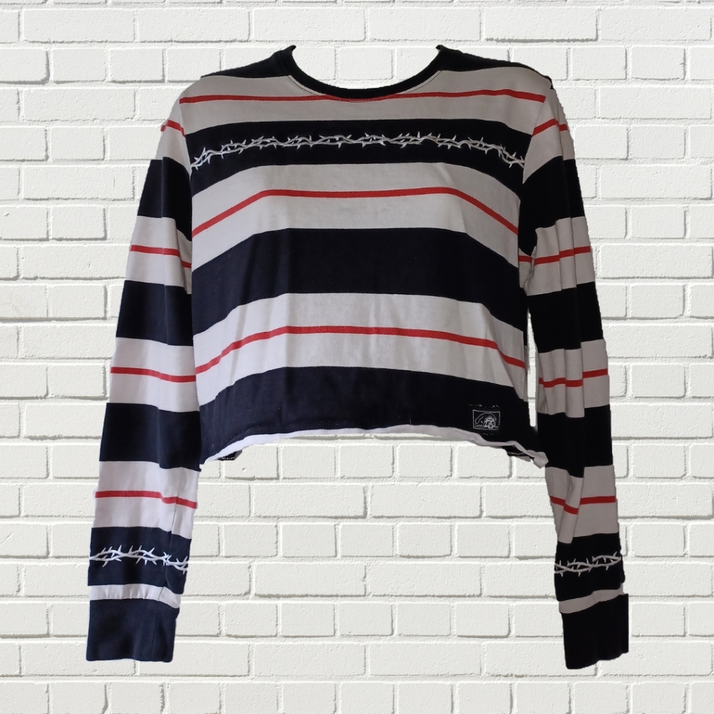 American Traditional Barbwire Cropped Long Sleeve Top by Lurking Class